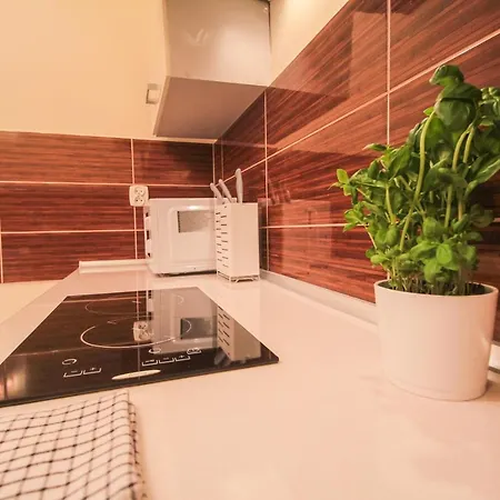 Apartament Center Wikana 114 Apartment *